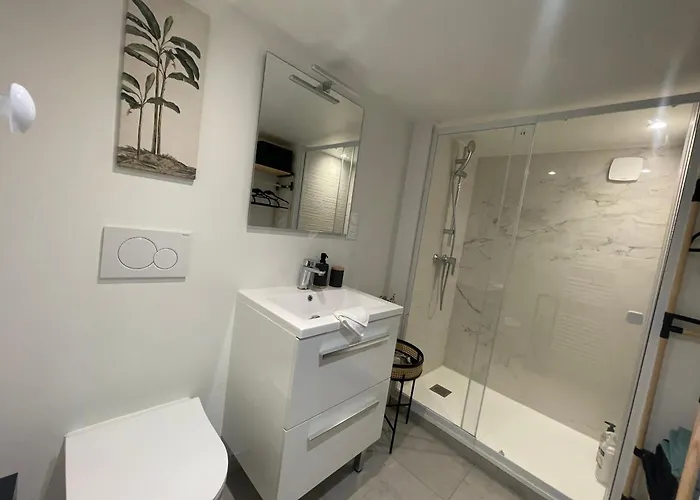 Appartement De Charme Du General Leclerc - Place D'erlon - Hypercentre - Gare - Reims